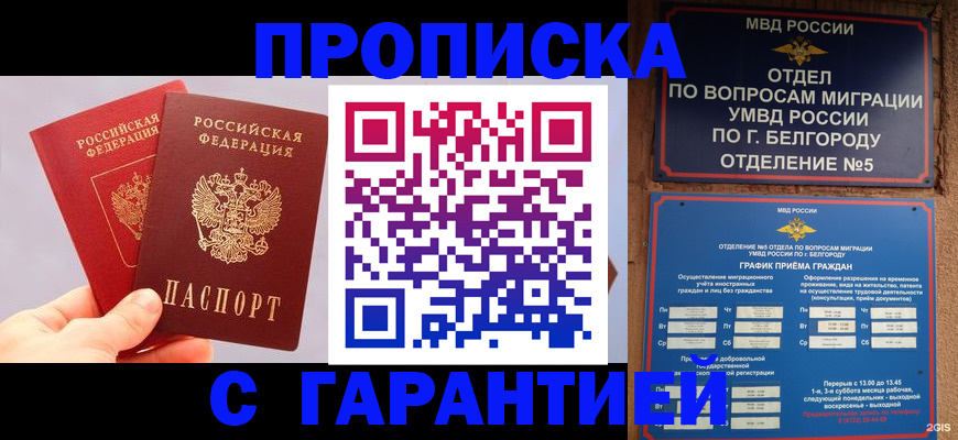 прописка 2025 в Котельниче